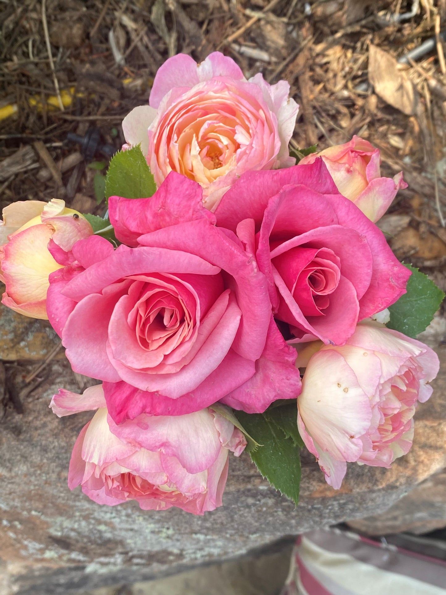 Rose & Coconut Milk Bath Soak