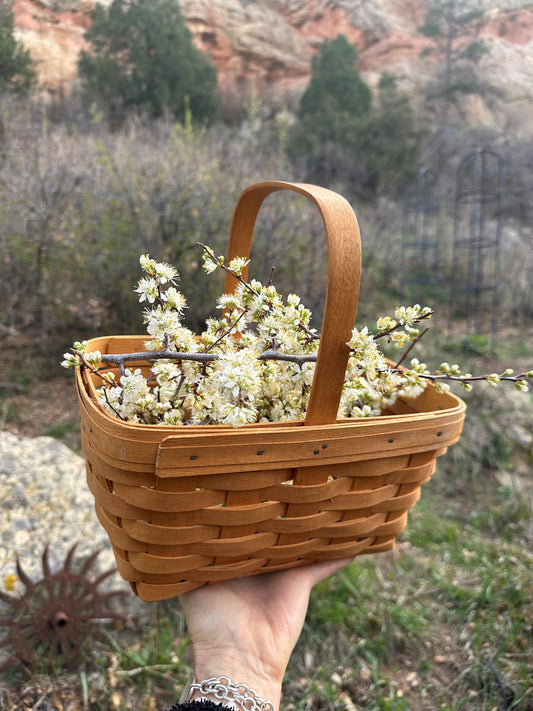 Wild Plum Blossom Hydrosol Spray