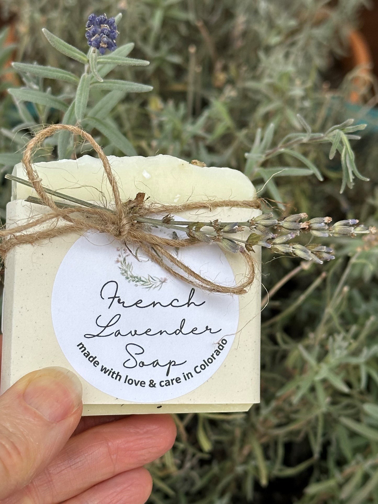 French Lavender Soap