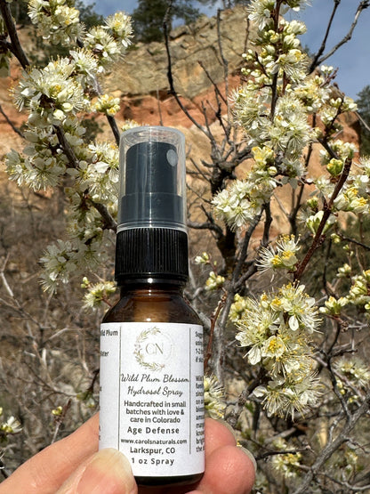 Wild Plum Blossom Hydrosol Spray